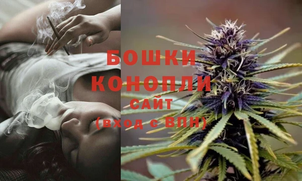 марки lsd Аркадак