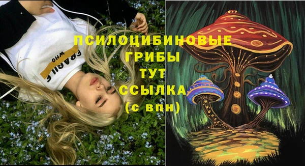 прущие грибы Армянск