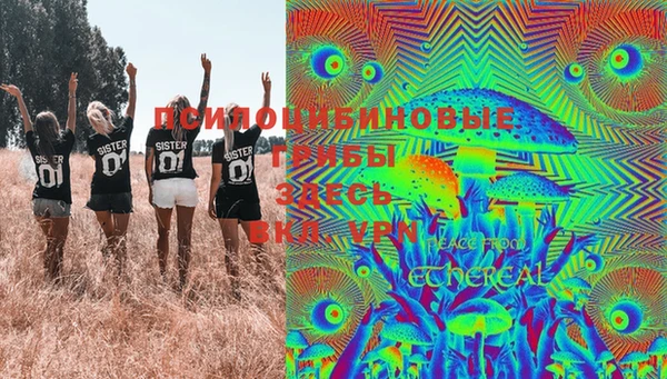 прущие грибы Армянск